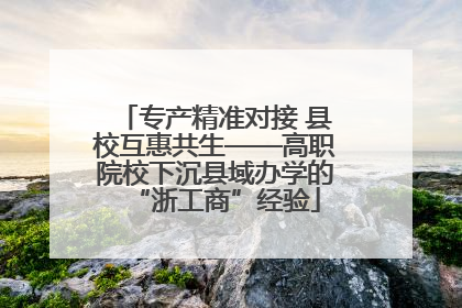 专产精准对接 县校互惠共生——高职院校下沉县域办学的“浙工商”经验