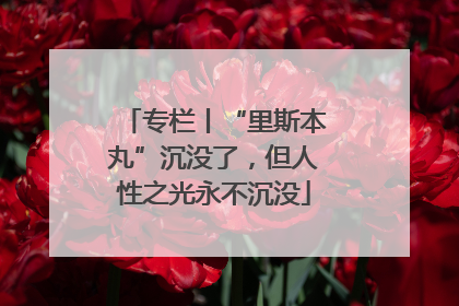 专栏丨“里斯本丸”沉没了，但人性之光永不沉没