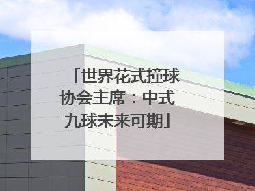 世界花式撞球协会主席：中式九球未来可期