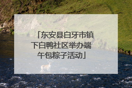 东安县白牙市镇下白鸭社区举办端午包粽子活动