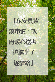 东安县紫溪市镇：政府暖心送考 护航学子逐梦路