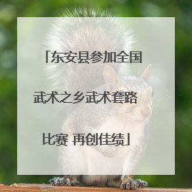 东安县参加全国武术之乡武术套路比赛 再创佳绩