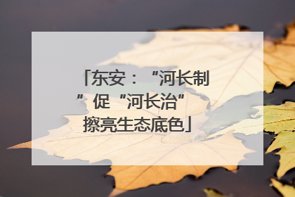 东安：“河长制”促“河长治” 擦亮生态底色