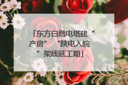 东方白鹳电塔建“产房” “陕电入皖”架线延工期