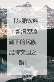 东鹏饮料：新消费浪潮下的民族品牌突围之路