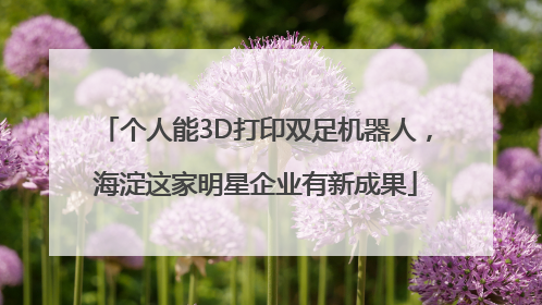 个人能3D打印双足机器人，海淀这家明星企业有新成果