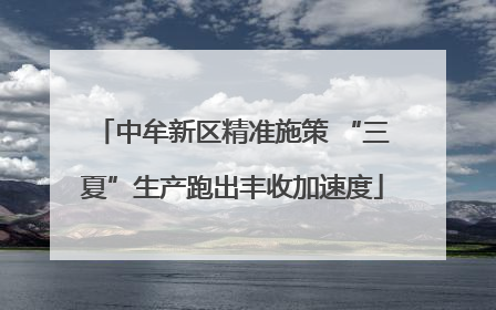 中牟新区精准施策 “三夏”生产跑出丰收加速度