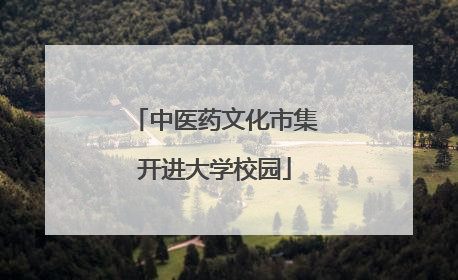 中医药文化市集开进大学校园