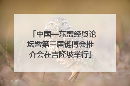 中国—东盟经贸论坛暨第三届链博会推介会在吉隆坡举行