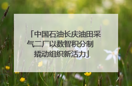 中国石油长庆油田采气二厂以数智积分制 撬动组织新活力