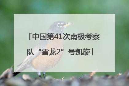 中国第41次南极考察队“雪龙2”号凯旋