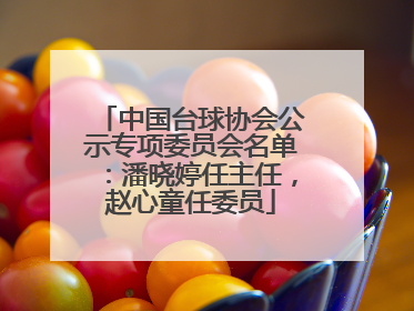 中国台球协会公示专项委员会名单：潘晓婷任主任，赵心童任委员