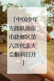 中国少年先锋队南京市建邺区第六次代表大会顺利召开