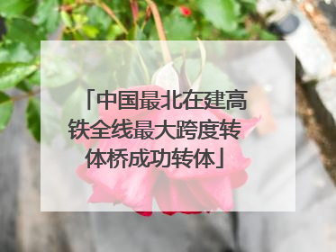 中国最北在建高铁全线最大跨度转体桥成功转体