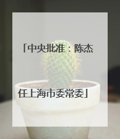 中央批准：陈杰任上海市委常委