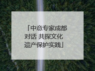 中意专家成都对话 共探文化遗产保护实践