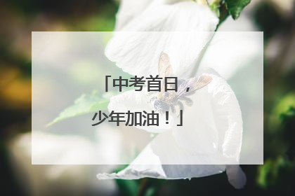中考首日，少年加油！