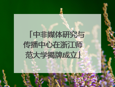 中非媒体研究与传播中心在浙江师范大学揭牌成立