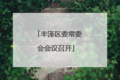 丰泽区委常委会会议召开