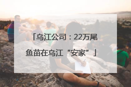 乌江公司：22万尾鱼苗在乌江“安家”