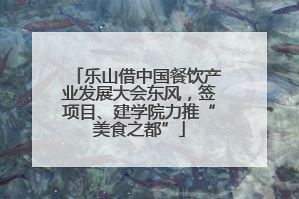 乐山借中国餐饮产业发展大会东风，签项目、建学院力推“美食之都”