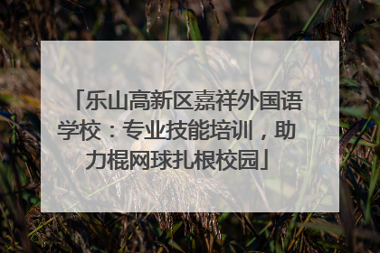 乐山高新区嘉祥外国语学校：专业技能培训，助力棍网球扎根校园