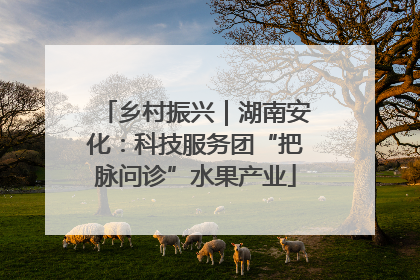 乡村振兴｜湖南安化：科技服务团“把脉问诊”水果产业