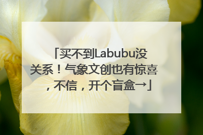 买不到Labubu没关系！气象文创也有惊喜，不信，开个盲盒→