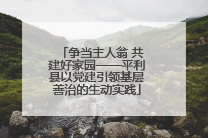 争当主人翁 共建好家园——平利县以党建引领基层善治的生动实践