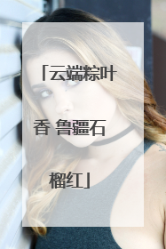 云端粽叶香 鲁疆石榴红