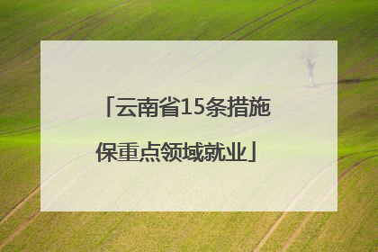云南省15条措施保重点领域就业