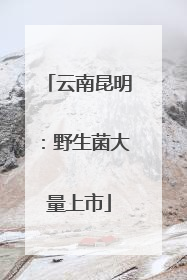 云南昆明：野生菌大量上市
