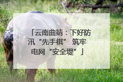 云南曲靖：下好防汛“先手棋” 筑牢电网“安全堤”