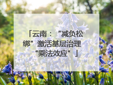 云南：“减负松绑”激活基层治理“乘法效应”