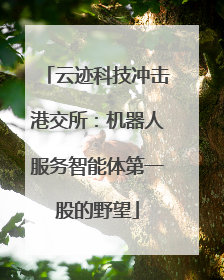 云迹科技冲击港交所：机器人服务智能体第一股的野望