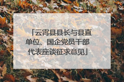 云霄县县长与县直单位、国企党员干部代表座谈征求意见