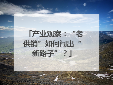 产业观察：“老供销”如何闯出“新路子”？
