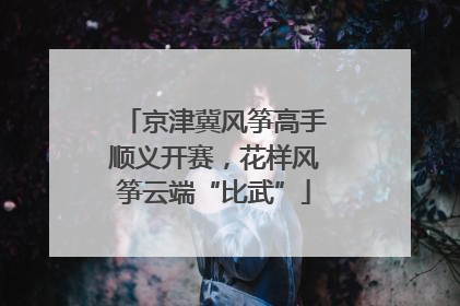 京津冀风筝高手顺义开赛，花样风筝云端“比武”
