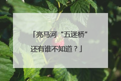 亮马河“五迷桥”还有谁不知道？