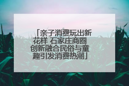 亲子消费玩出新花样 石家庄商圈创新融合民俗与童趣引发消费热潮