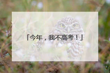 今年，我不高考！