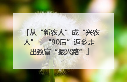 从“新农人”成“兴农人”，“90后”返乡走出致富“振兴路”