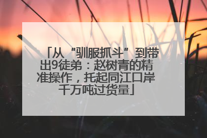 从“驯服抓斗”到带出9徒弟：赵树青的精准操作，托起同江口岸千万吨过货量