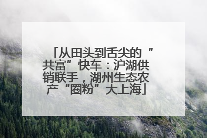 从田头到舌尖的“共富”快车：沪湖供销联手，湖州生态农产“圈粉”大上海