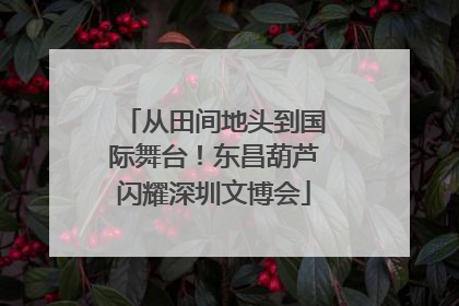 从田间地头到国际舞台！东昌葫芦闪耀深圳文博会
