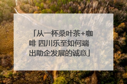 从一杯桑叶茶+咖啡 四川乐至如何端出助企发展的诚意