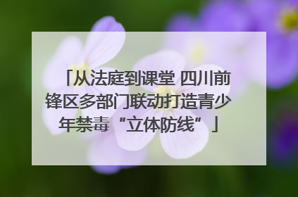 从法庭到课堂 四川前锋区多部门联动打造青少年禁毒“立体防线”