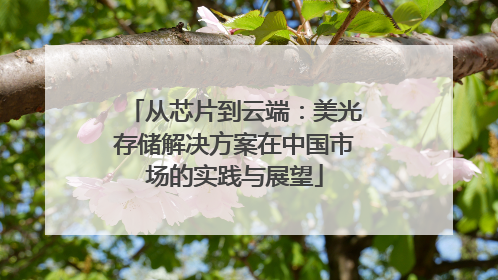 从芯片到云端：美光存储解决方案在中国市场的实践与展望