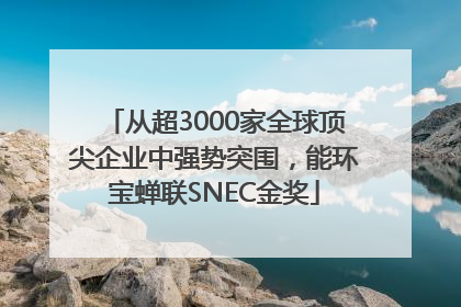 从超3000家全球顶尖企业中强势突围，能环宝蝉联SNEC金奖