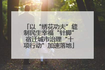 以“绣花功夫”缝制民生幸福“针脚” 宿迁城市治理“十项行动”加速落地